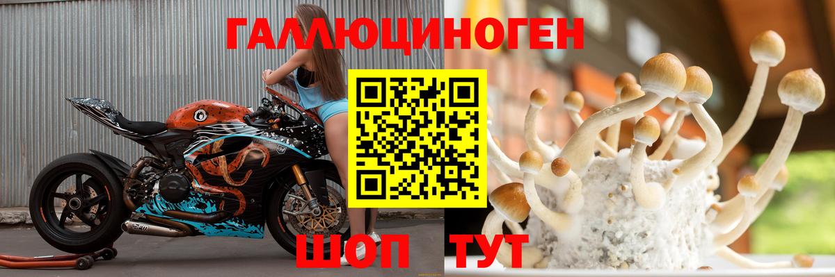 Галлюциногенные грибы прущие грибы Саранск
