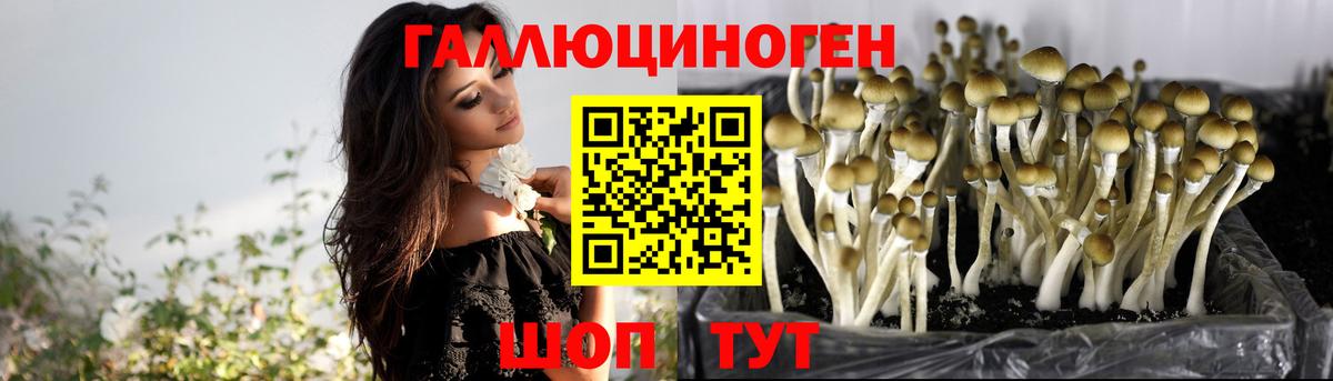 Саранск  Псилоцибиновые грибы MAGIC MUSHROOMS  Галлюциногенные грибы ЛСД  Вход с VPN 